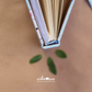 EcoLibreta Cuadrada Jardín Rosa